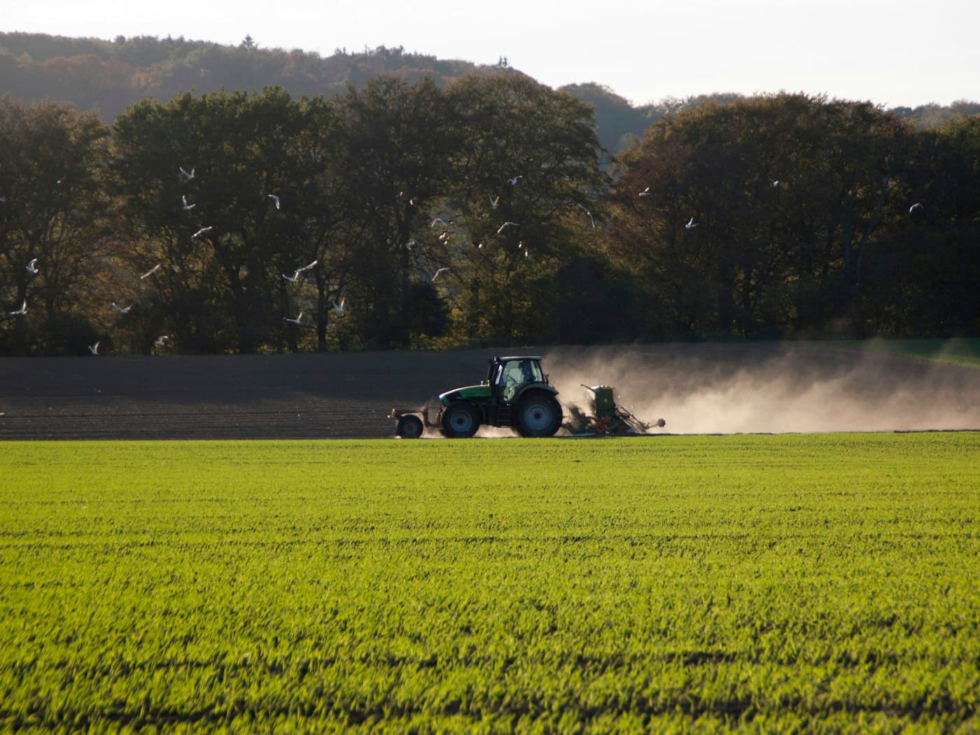Mounted Disc Plough