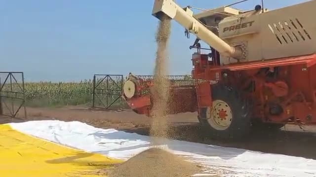 Combine unloading at harvest