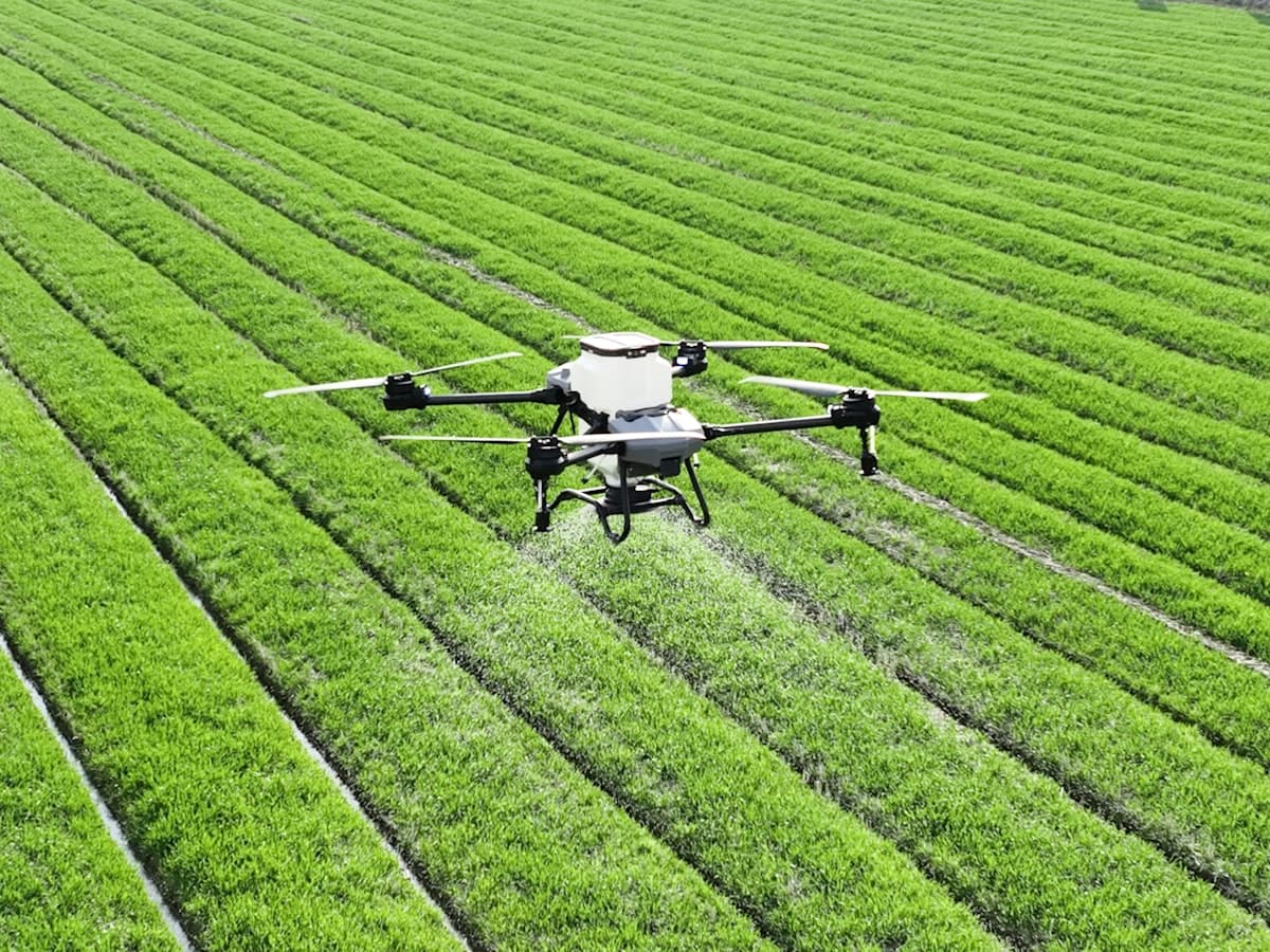 Crop Spraying & Protection