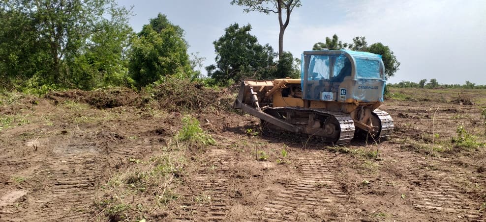 An iMTS crawler dozer on a block of freshly cleared and stumped land